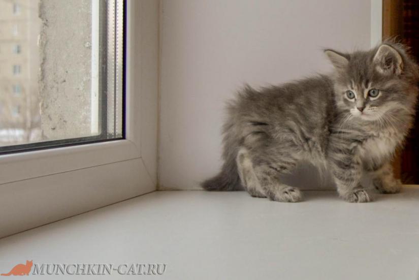 Izya Karapuz 14.01.2020