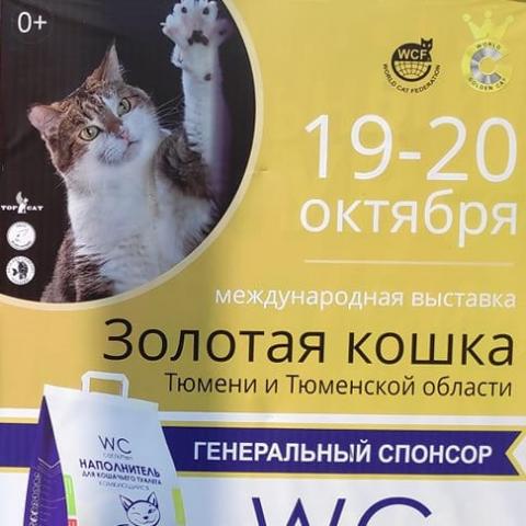 Выставка кошек в Тюмени 19-20 октября 2019 года
